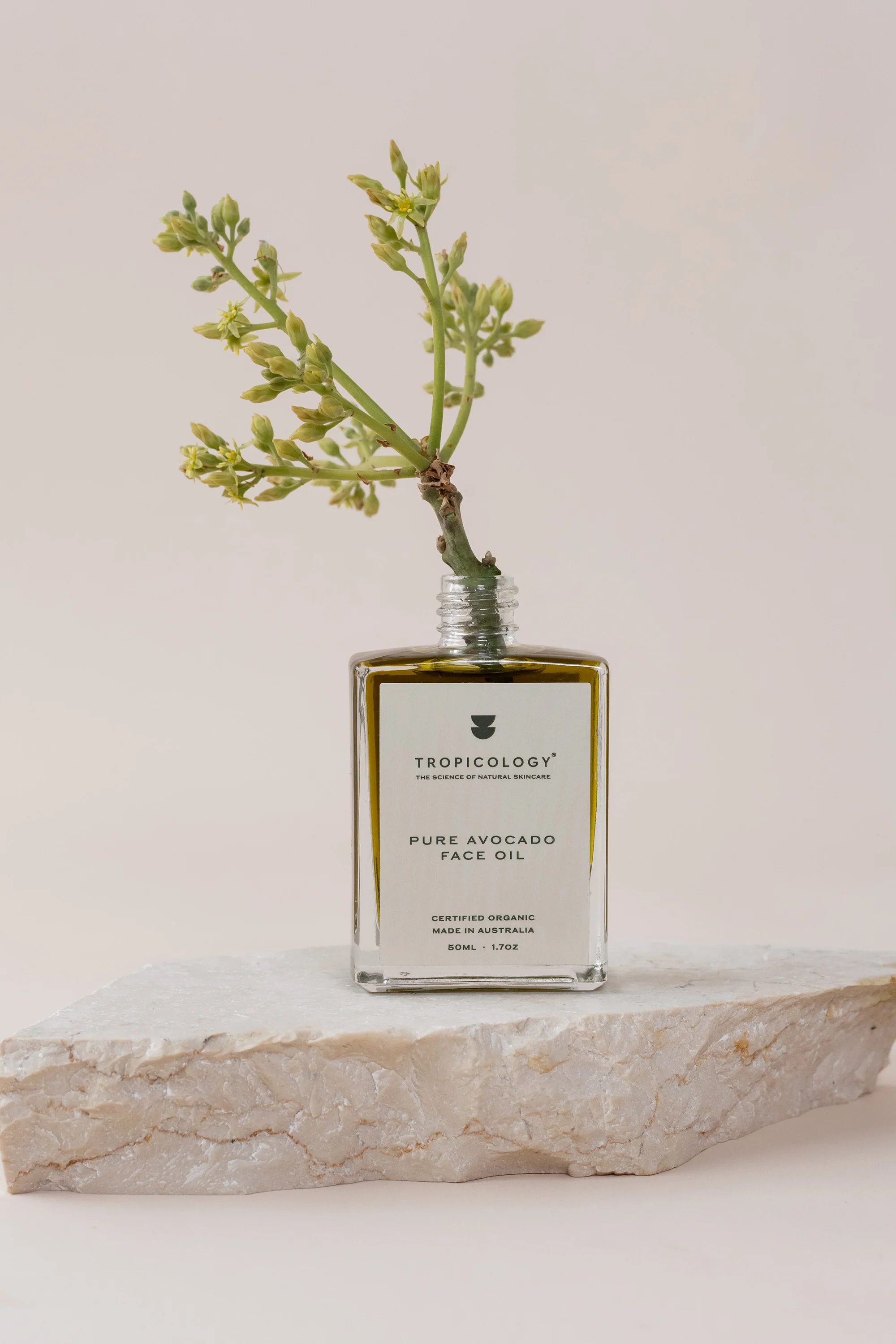 Tropicology Organic Pure Avocado Face Oil - Image 6